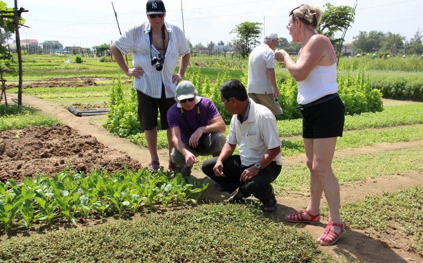 Hoi An Bicycle Tour 1 Day Tra Que Village